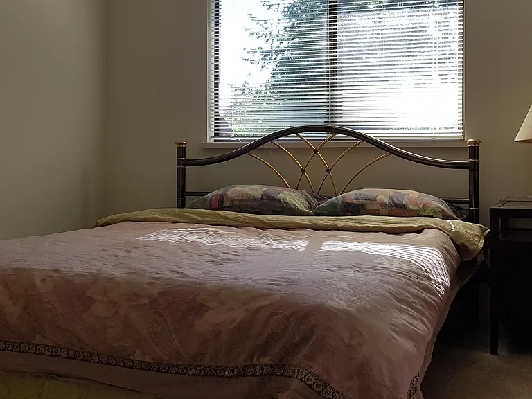 13230 Amble Greene Ct — Photo 19