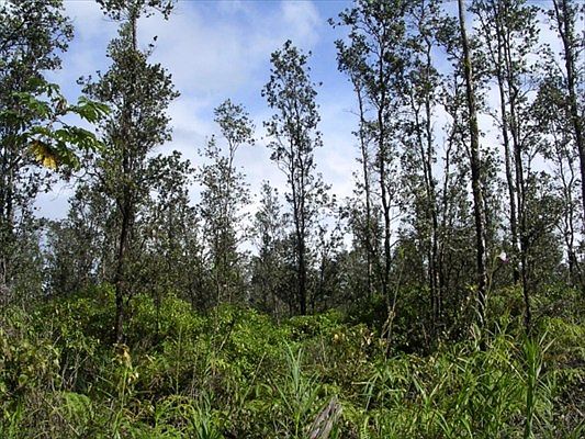 1st image of Road 9 Koloa Maoli Lot 5557