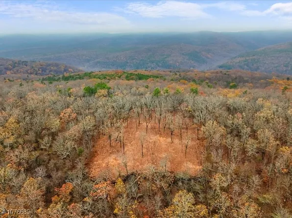 Cucumber Creek Trl, Smithville, OK 74957