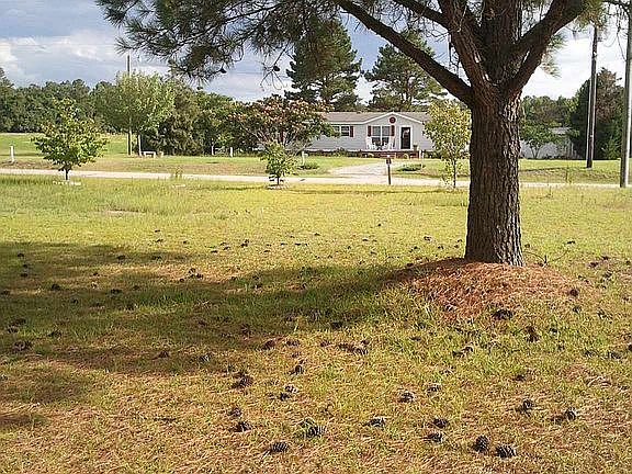 5th image of 121 Big Piney Grove Rd