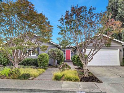 1430 Piedra Dr, Walnut Creek, CA, 94597