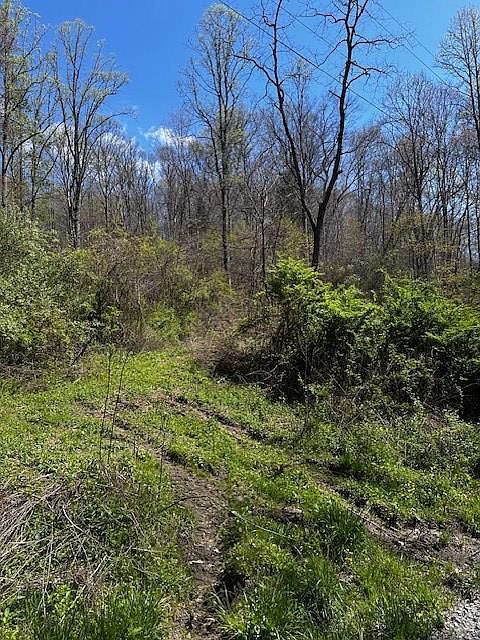 2nd image of Toneys Fork Rd