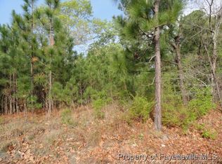 Pittman Grove Church Rd, Raeford, NC 28376