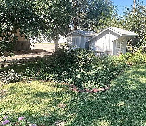garden and storage sheds