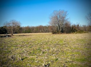 Gun, Houston, DE 19954