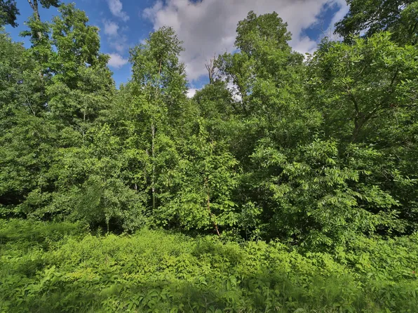Tbd Percheron Dr, Pequot Lakes, MN 56472