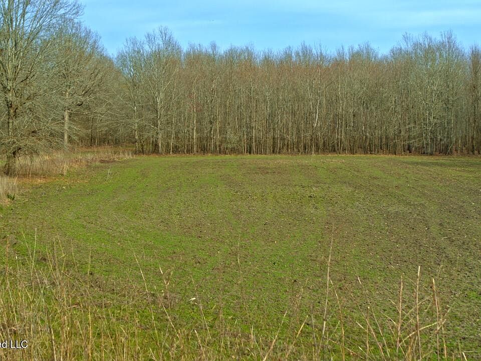 43rd image of this home