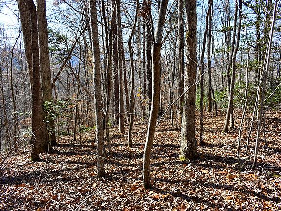 2nd image of 25-26 27 Bear Cove Cir Lot 25-27