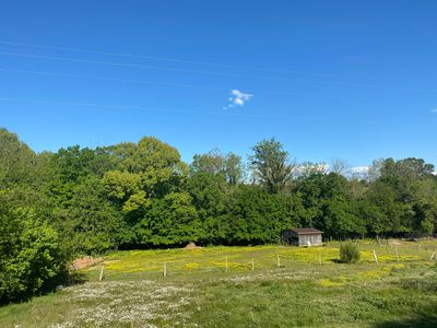 172 Kinser Rd, Madisonville, TN, 37354