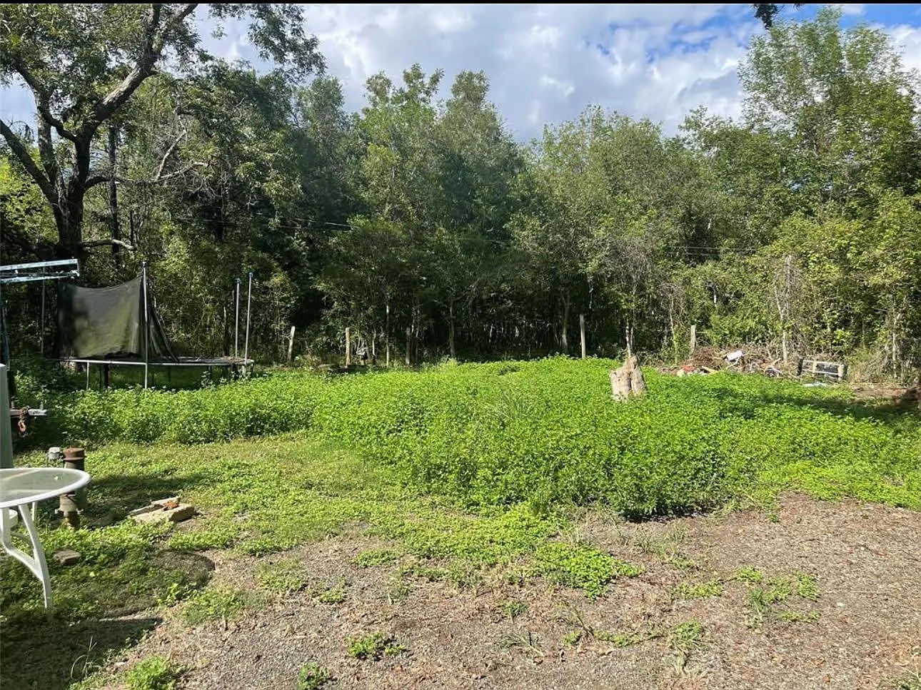 2 bed, 1.0 bath, 726 sqft, $995 — Photo 3