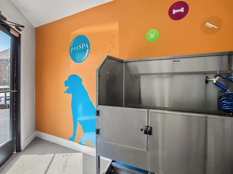 C242450_AdairoffAddison_Petspa2_05