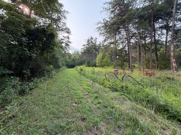 0 Fox Run Rd, Boones Mill, VA 24065