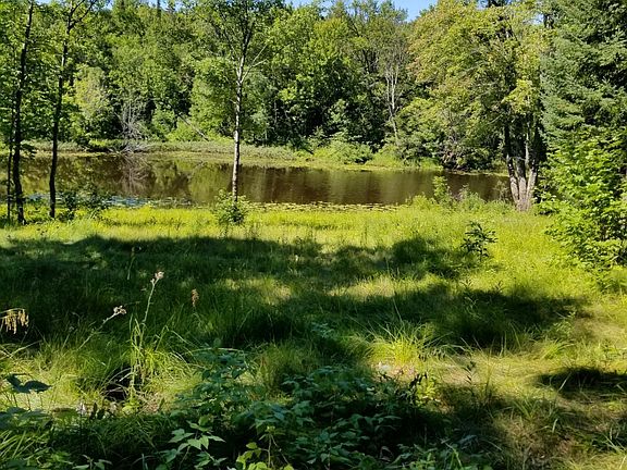 2nd image of 42886 W Cabin Dr