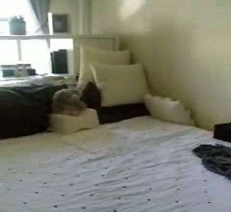 4th image of 156 W 92nd St APT 3F