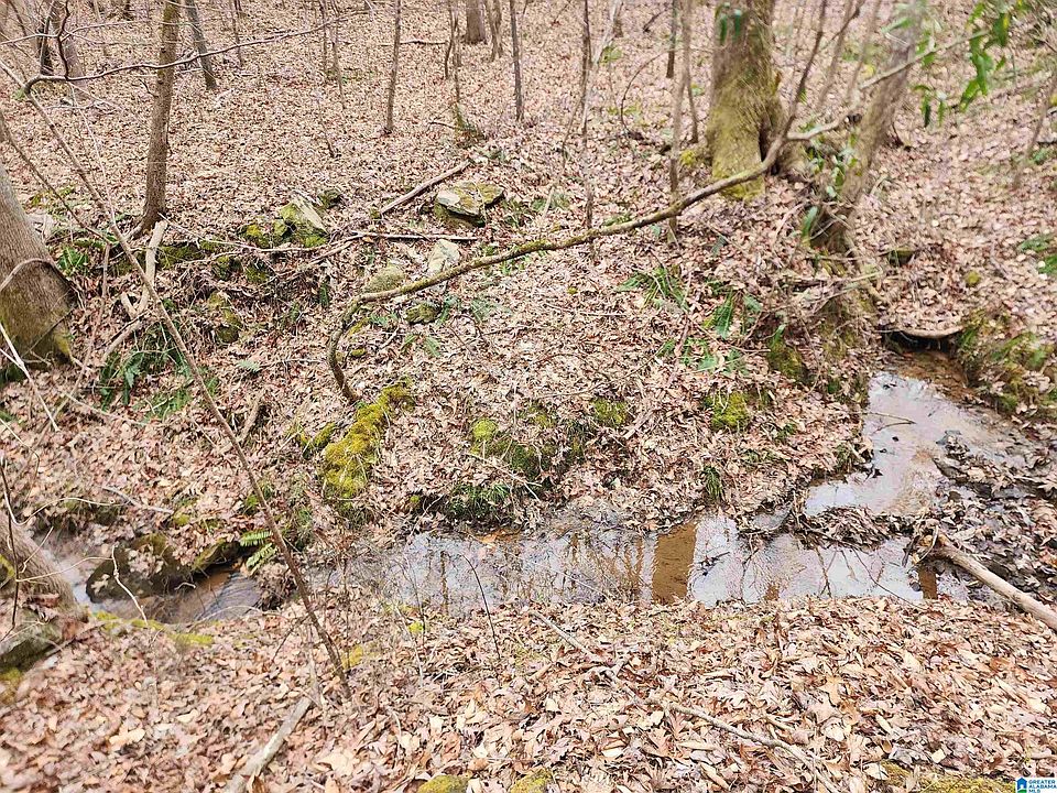 1st image of 1102 County Road 59 #58.60