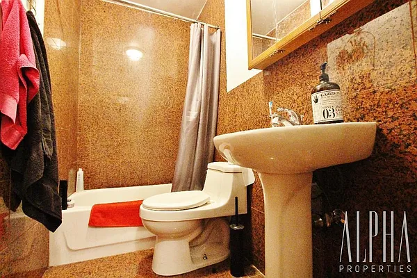 Rented by Alpha Properties NYC I LLC | media 28