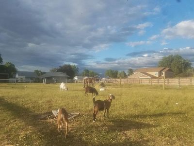 715 Linden Ave, Lewiston, ID, 83501