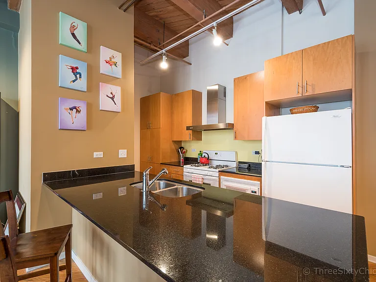 1040 W Adams St #309 — Photo 8