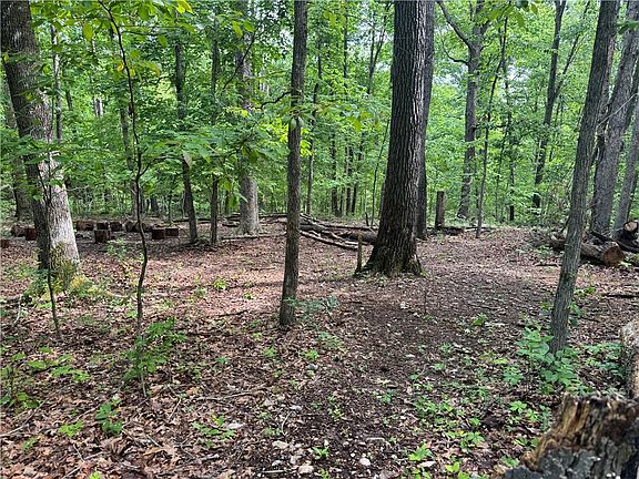 3rd image of Lots 2 3 4 Diana Ln