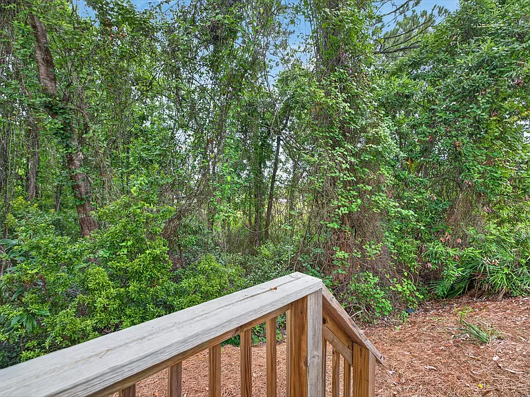 Wooded Views