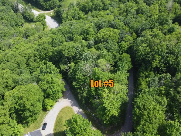 215 Hideaway Trl, Slatyfork, WV 26291