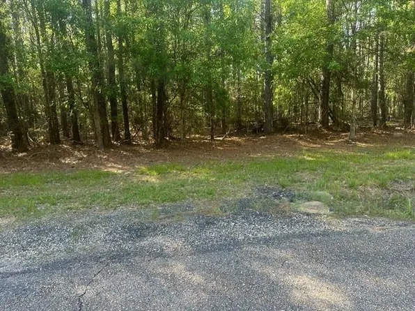 Lavinghouse Rd Parcel C, Bush, LA 70431