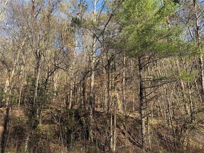 0 Whitepath Rd Lot 1, Ellijay, GA, 30540