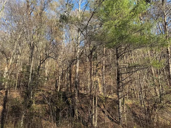 0 Whitepath Rd Lot 1, Ellijay, GA 30540