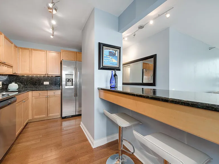 474 N Lake Shore Dr #5502 — Photo 10