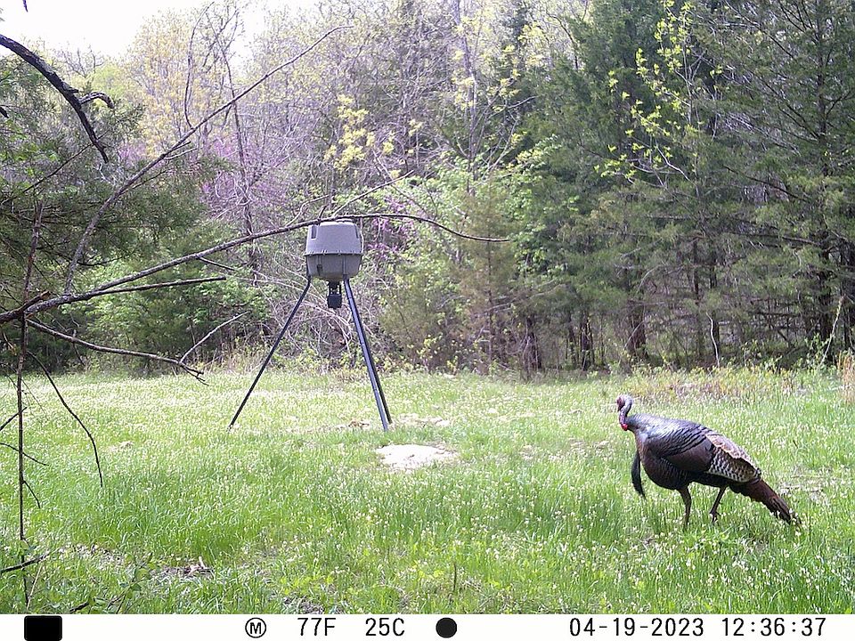1st image of 0 SE 321st Rd