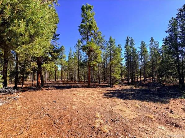 399 Lodgepole Drive LOT 28, Leadville, CO 80461