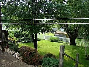 Back yard