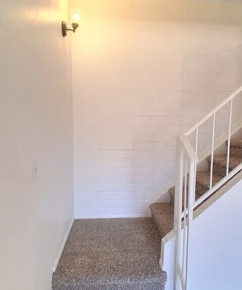 4515 E Wood St — Photo 11