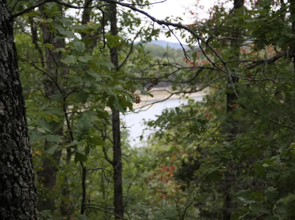 LOT 42 Webbs Landing Ln, Yellville, AR 72687