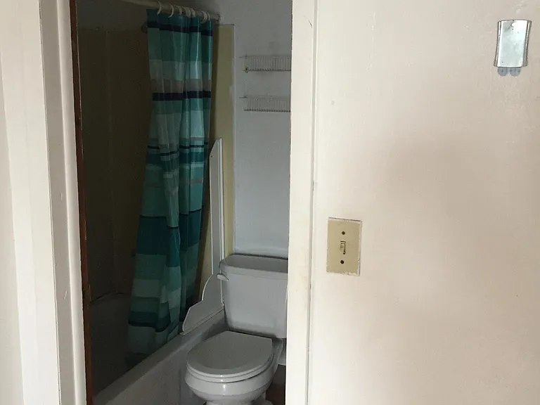 3602 Dawson St #4 — Photo 4