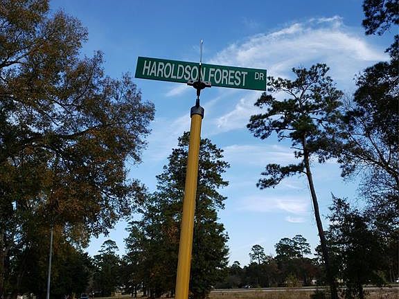 2nd image of 12107 Haroldson Forest Dr