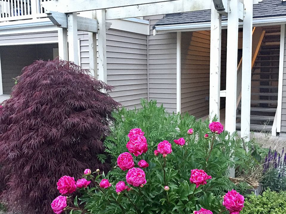 1st image of 18612 NE 57th St #V18612