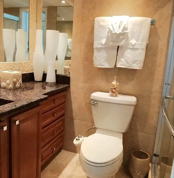 primary bathroom