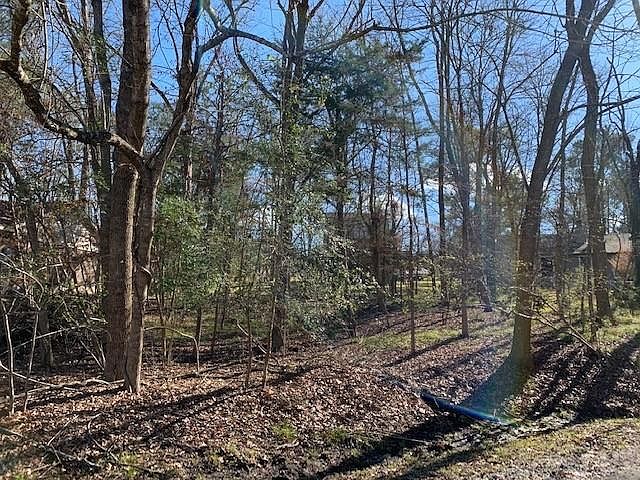 1st image of 0 Pine Cove Ln