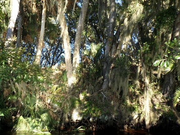 5th image of 146 Acosta Creek Dr