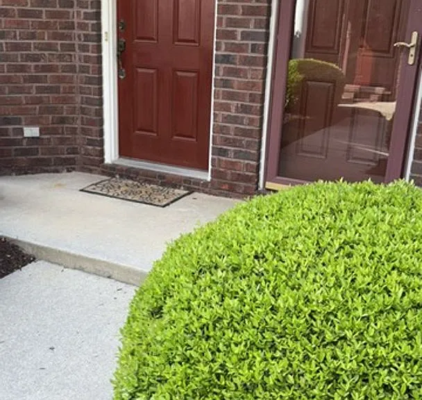 5821 Ludington Dr — Photo 1