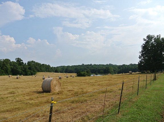 3rd image of 2458 County Road 260