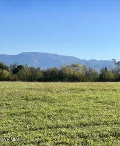 185 Lester Snapp Rd Lot 1, Limestone, TN, 37681