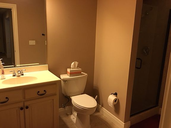 Bathroom- lwr level