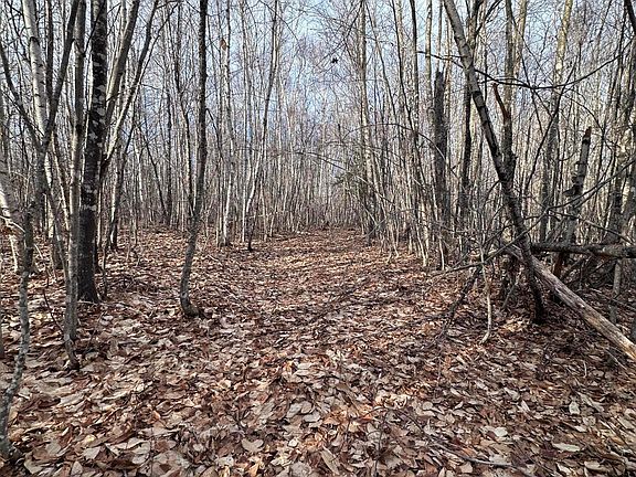 5th image of Lot 7-14 Beechwood Avenue N