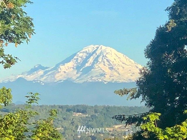 View from the patio.
