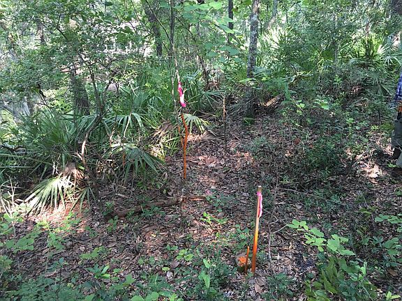 3rd image of 00 BLACK CREEK TRACT