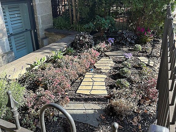 Front Garden 1
