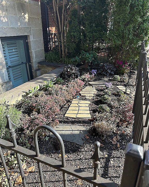 Front Garden 1