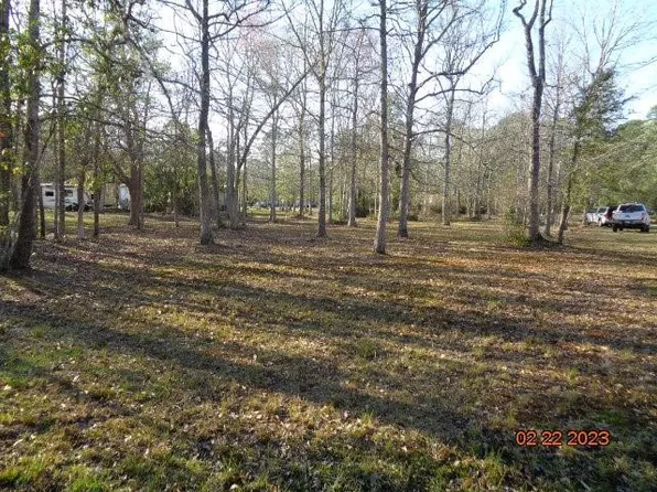 131 Williamson Dr NE, Townsend, GA 31331